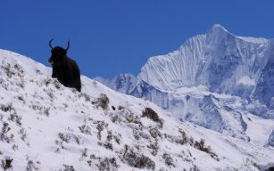 langtang ganchhembu