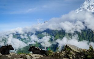 Mardi Himal Trek